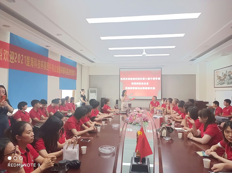 銀馬企業(yè)網絡營銷分享學習會議